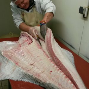 Flétan blanc de 78 kg