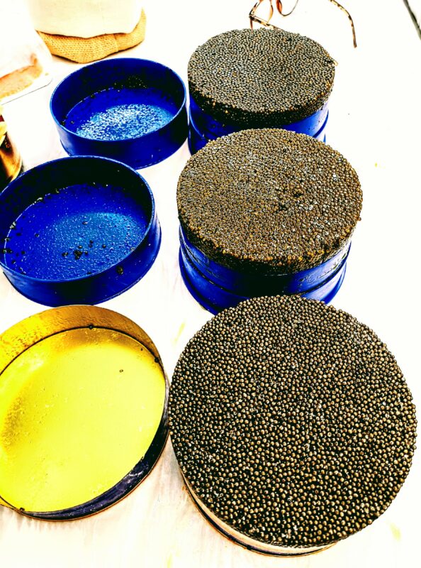 caviar